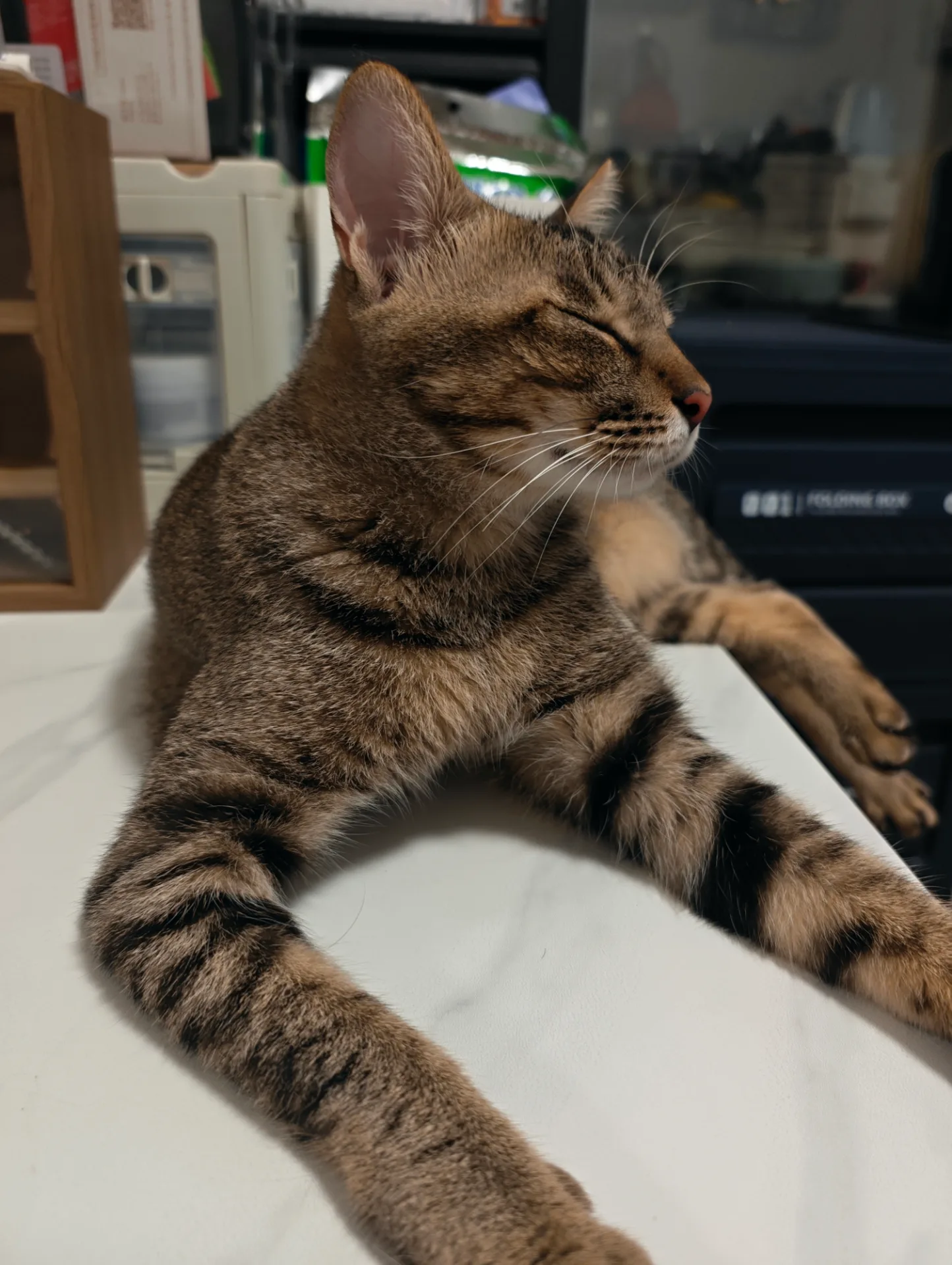 相册照片 9