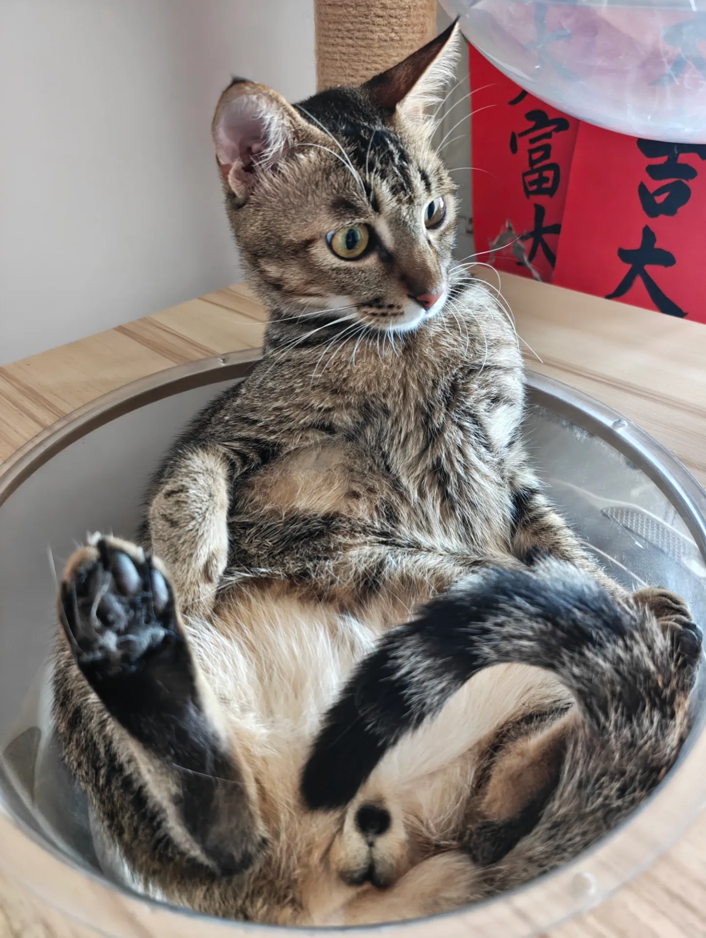 相册照片 15