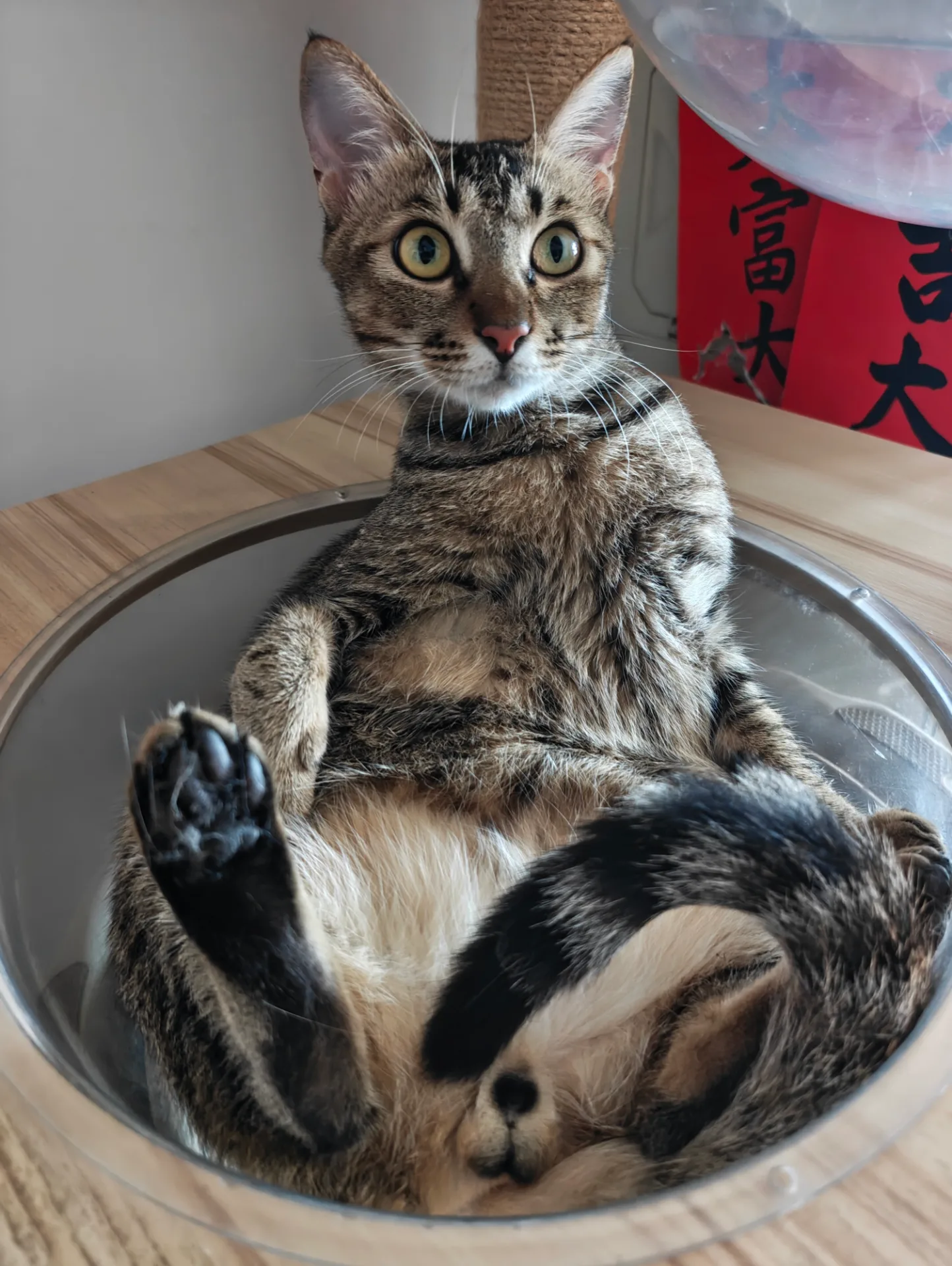 相册照片 16