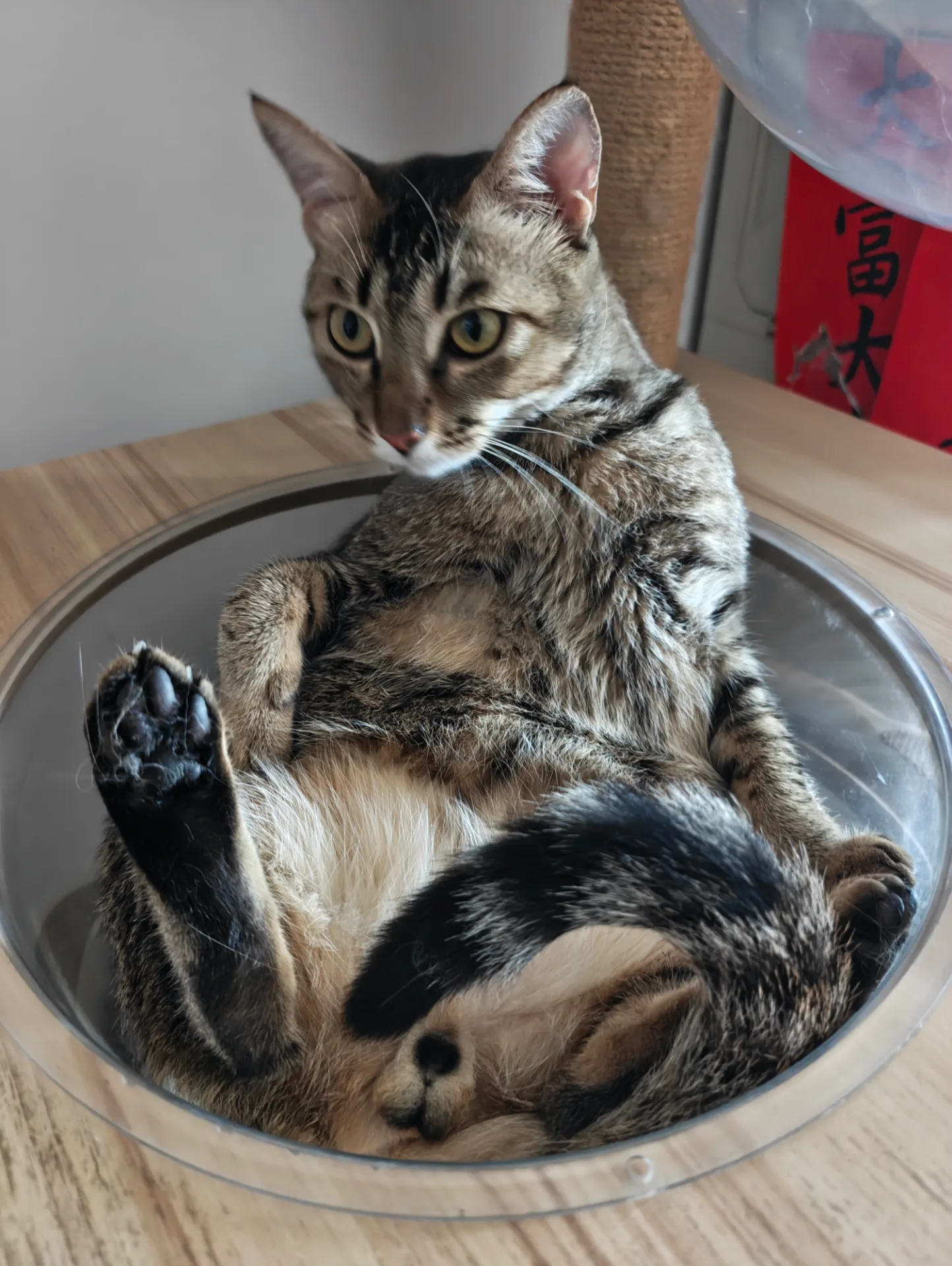 相册照片 17