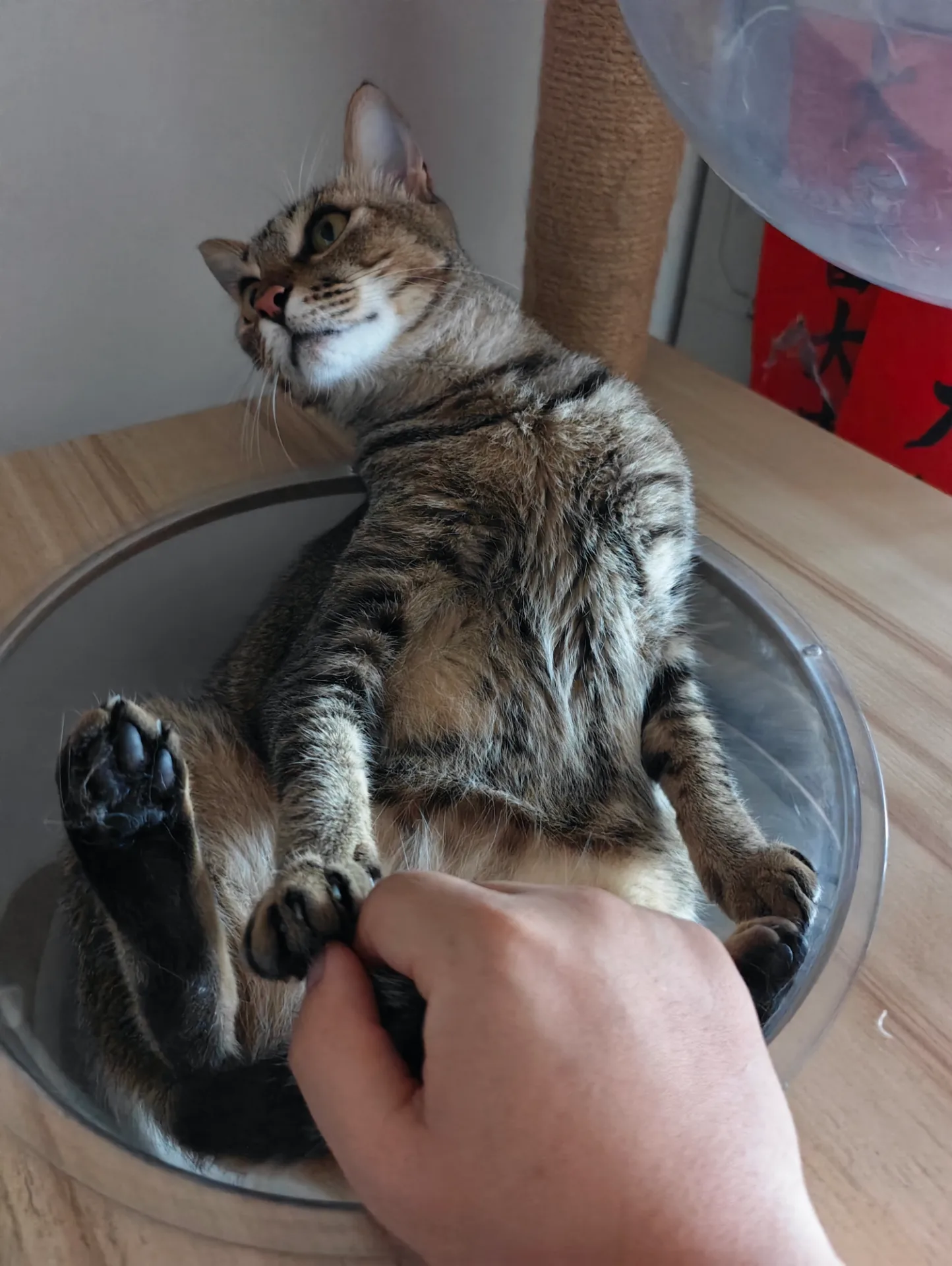 相册照片 18