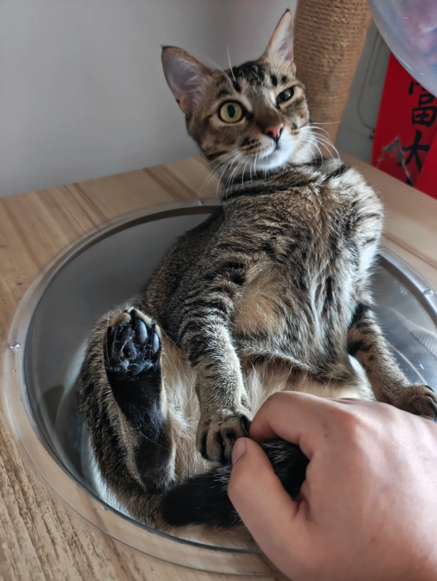 相册照片 19