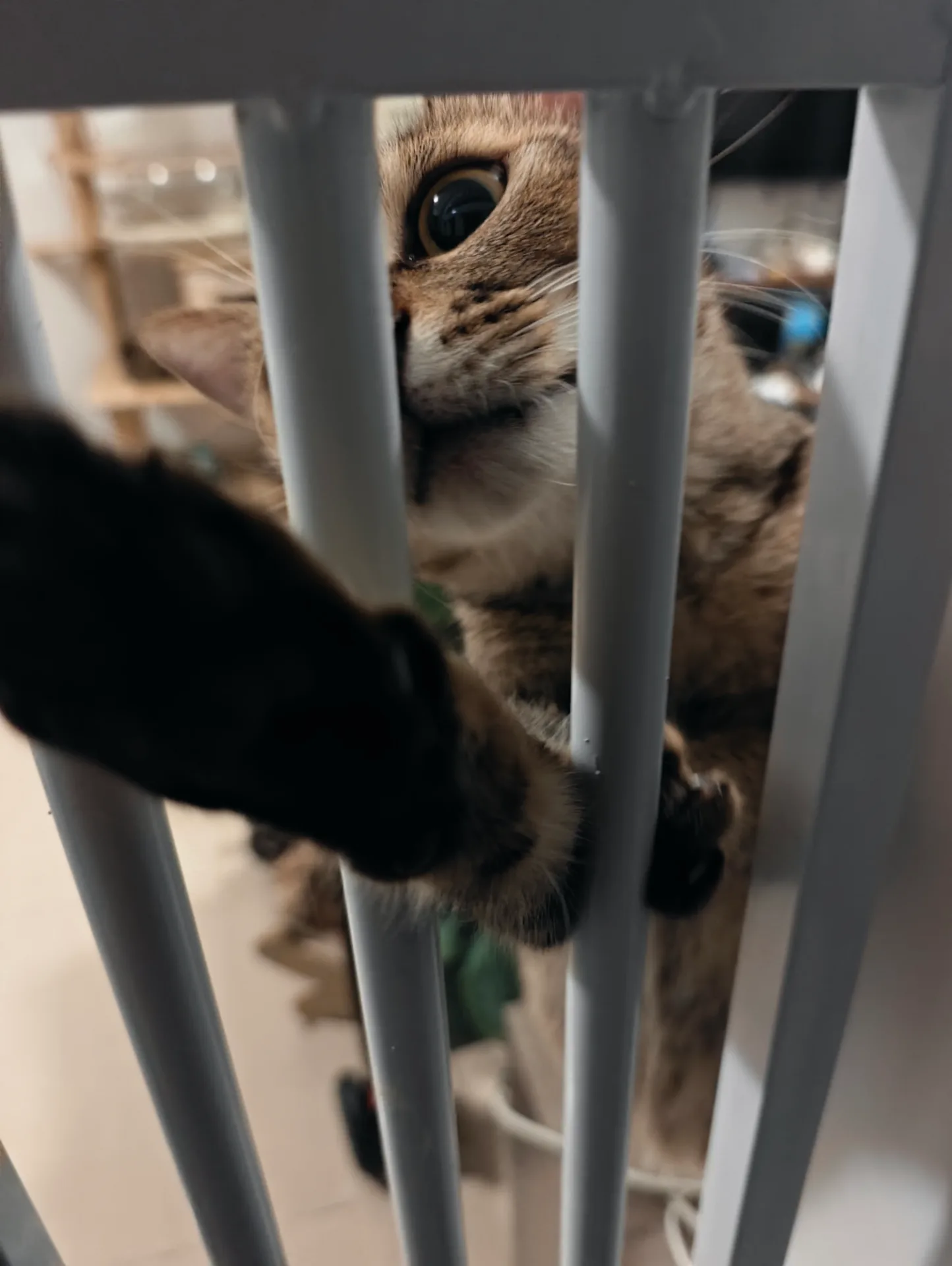 相册照片 22
