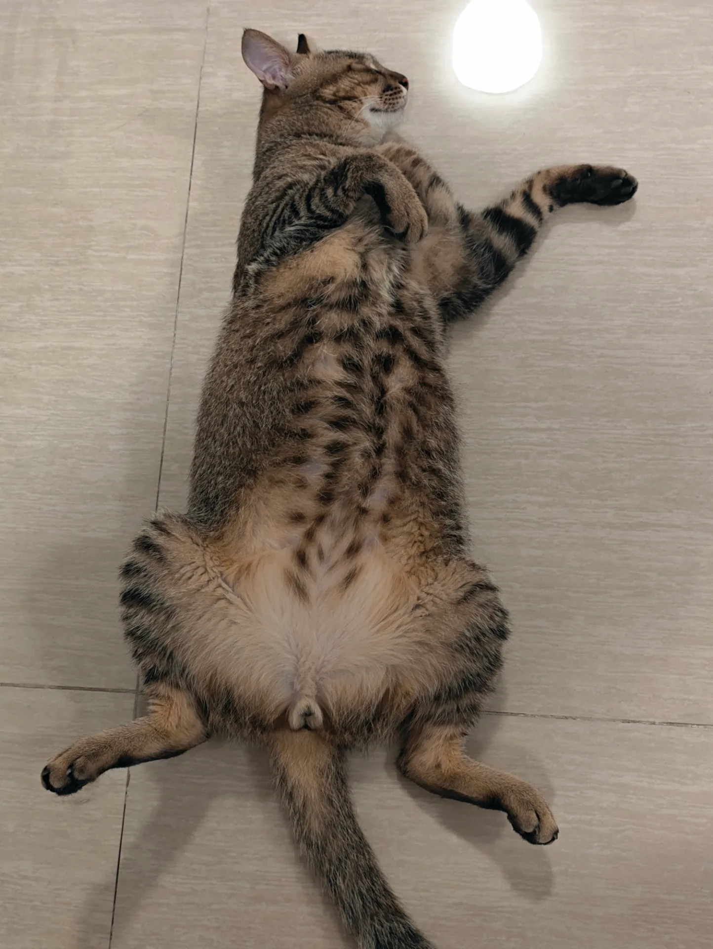 相册照片 30